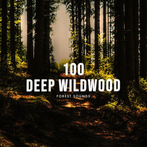 100 Deep Wildwood