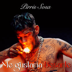 ME GUSTARIA BESARTE