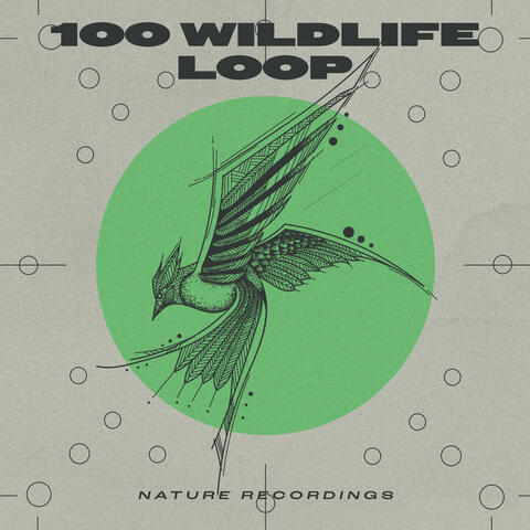 100 Wildlife Loop
