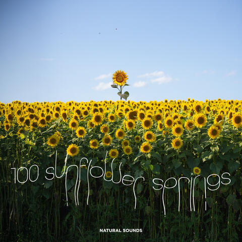 100 Sunflower Springs