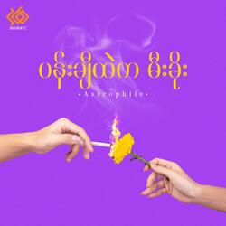 လပေါ်ကနောက်ဆုံးညလို