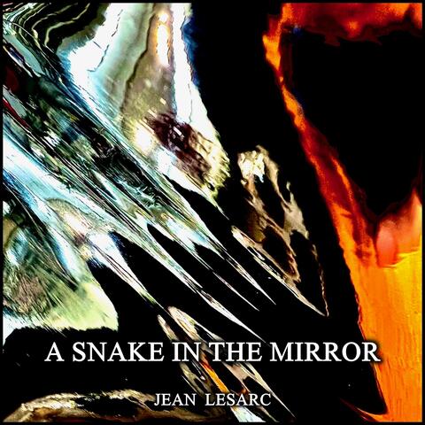 A snake in the mirror