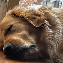 Love Feels Like It's In Vain