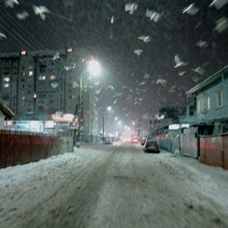 BLIZZARD