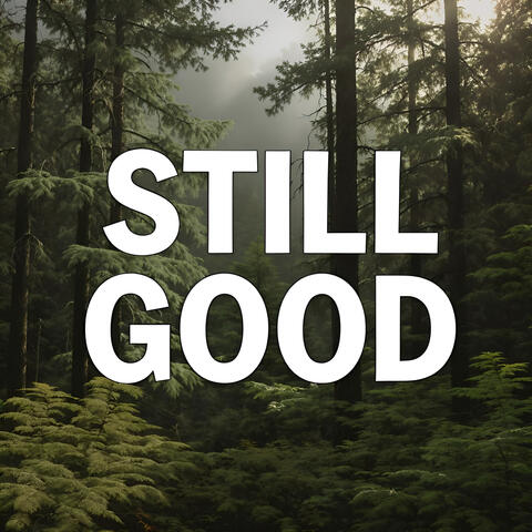 Still Good (demo version)