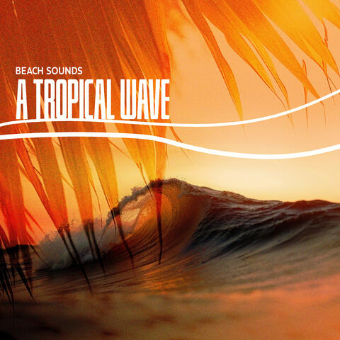 A Tropical Wave