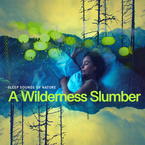 A Wilderness Slumber