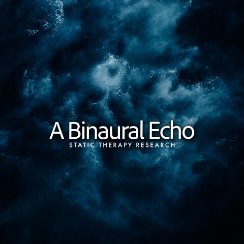 A Binaural Echo