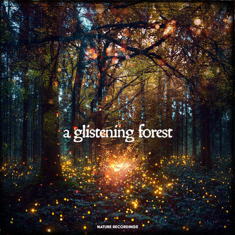 A Glistening Forest