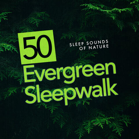 50 Evergreen Sleepwalk