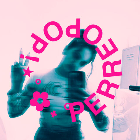 PERREOPOP!⋆˚✿˖°