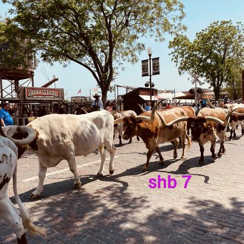 summerheatbeats 7