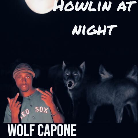 HOWLIN AT NIGHT