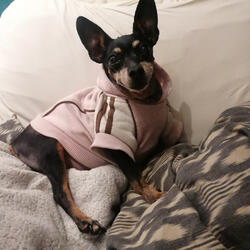 Tell me when we’ll be together again