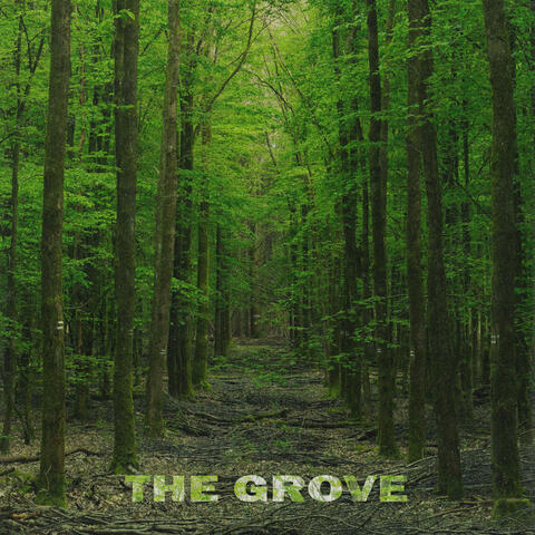 The Grove