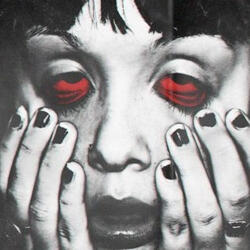 Saco de carne & ossos