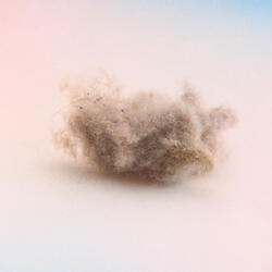 Cat Hair & Dust Mites