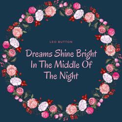 Dreams Shine Bright In The Middle Of The Night