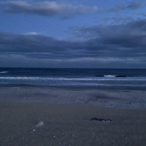Surfs up