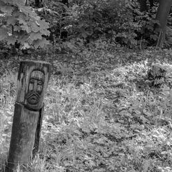 НАЗВИ НЕ БУДЕ