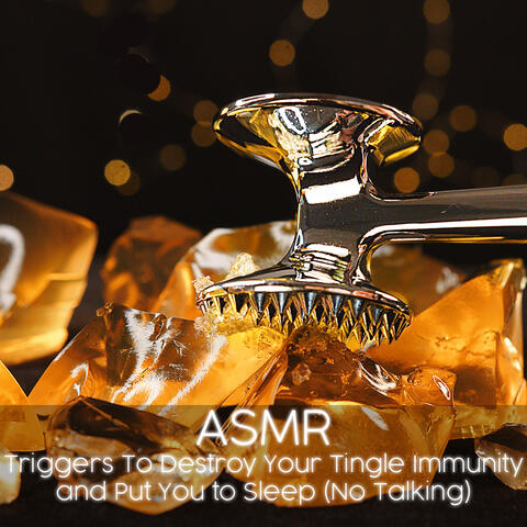 ASMR Triggers To Destroy Your Tingle Immunity and Put You to Sleep (No Talking)