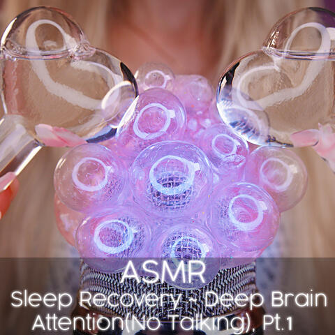Sleep Recovery ~ Deep Brain Attention (No Talking), Pt. 1