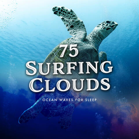 75 Surfing Clouds