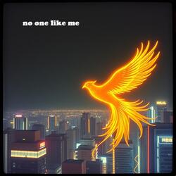no one like me