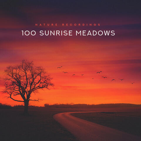 100 Sunrise Meadows