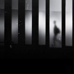 Ghost in the Frame