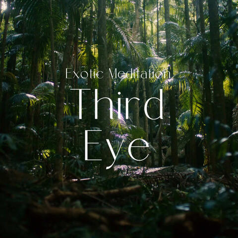 Third Eye