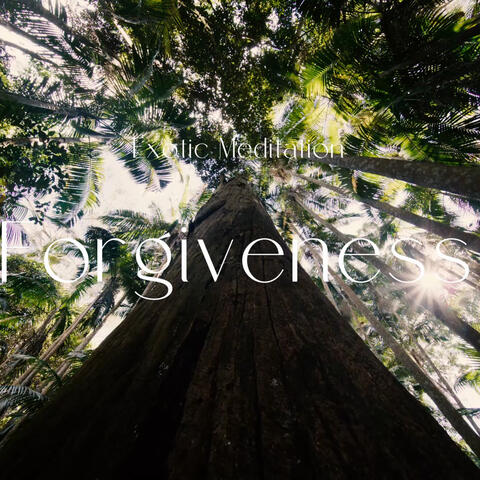 Forgiveness