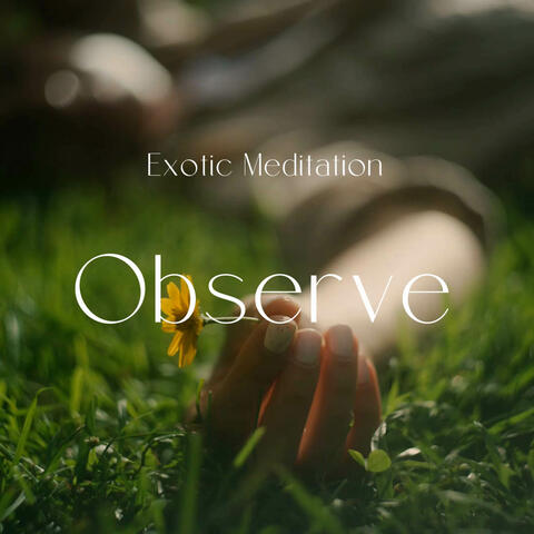 Observe