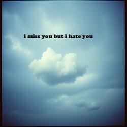i miss you but i hate you