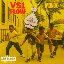 VS1 Flow