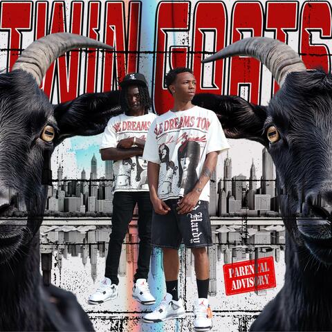 Twin Goats
