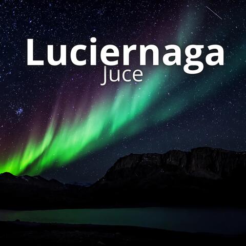 Luciernaga