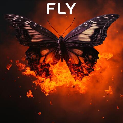 Fly