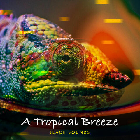 A Tropical Breeze