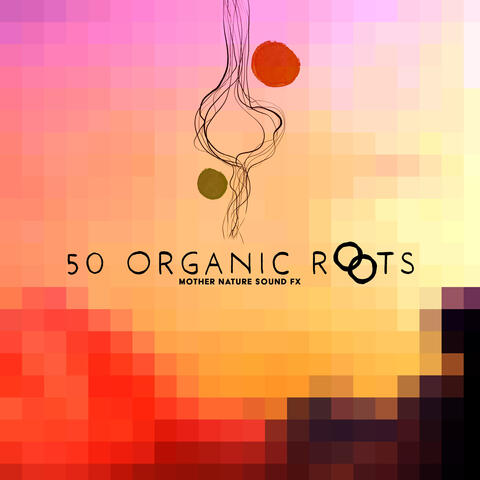 50 Organic Roots