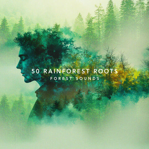 50 Rainforest Roots
