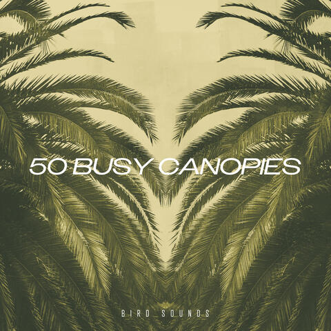 50 Busy Canopies