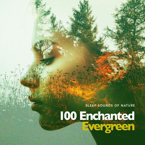 100 Enchanted Evergreen