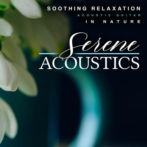 Serene Acoustics
