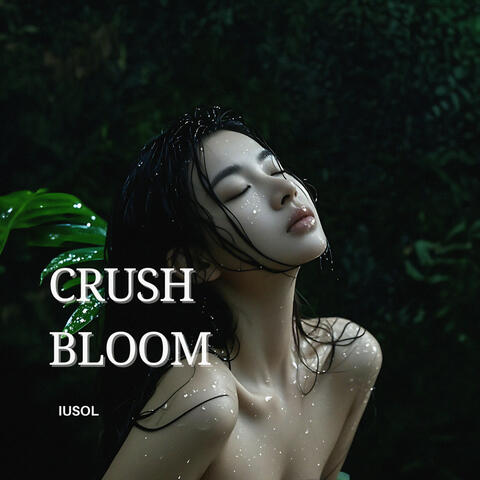 Crush Bloom