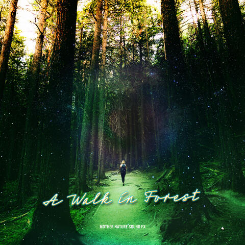 A Walk in Forest