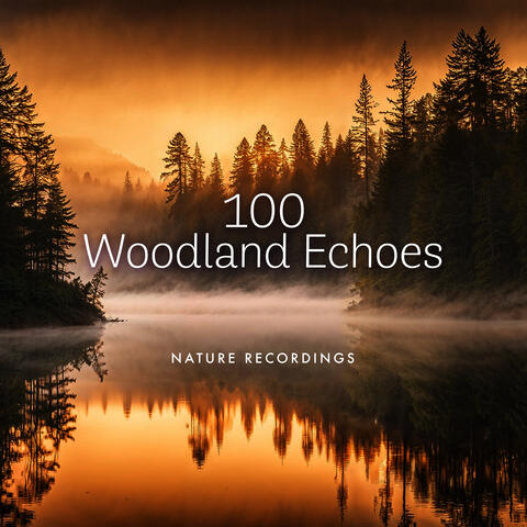 100 Woodland Echoes