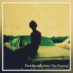 First Breath After The Funeral (Cicada Wings)