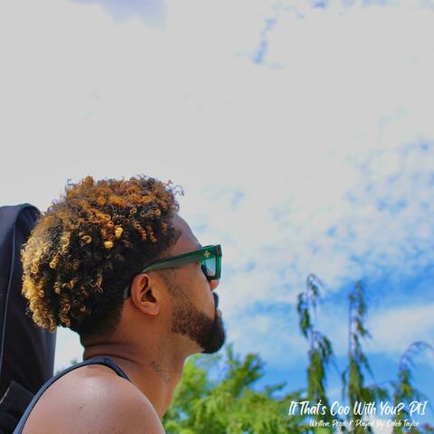 If That’s Coo With You? Pt.I