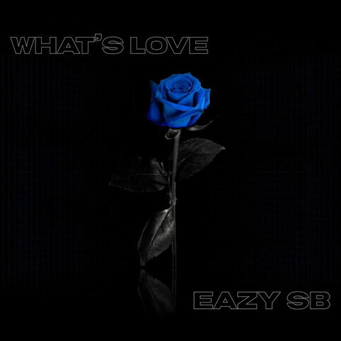 What's Love